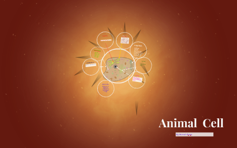 Animal Cell by hannah toups on Prezi