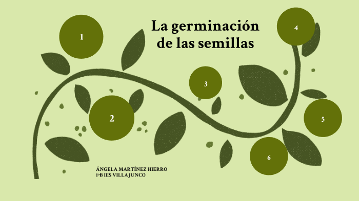 Factores que afectan a la germinación de las semillas by Ángela