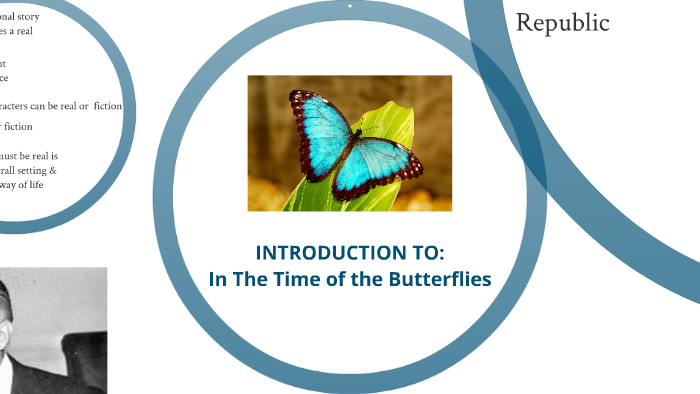 in the time of the butterflies feminist essay