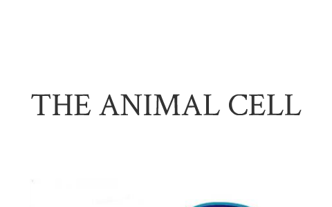 The Parts Of An Animal Cell by julia aleman on Prezi