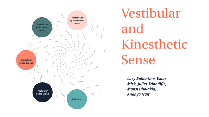 vestibular-and-kinesthetic-sense-by-lucy-b