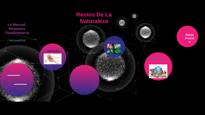 Reinos De La Naturaleza by Maria Velasquez on Prezi