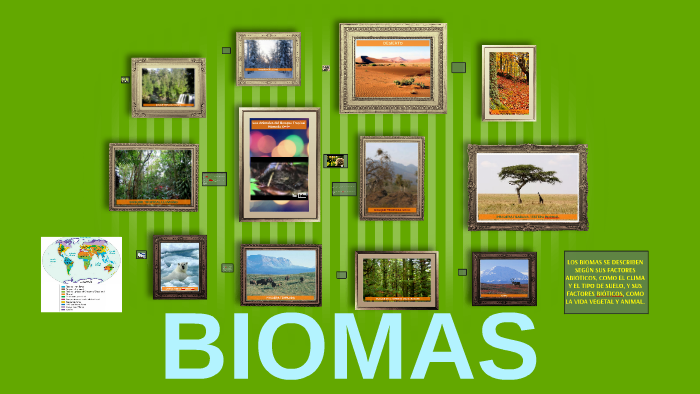 BIOMAS by DIANA ROJAS GUTIERREZ on Prezi