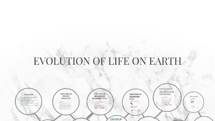 EVOLUTION OF LIFE by bella lynch on Prezi