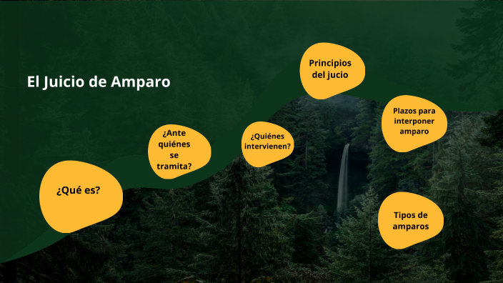 El Juicio de Amparo by FRANCISCO EMMANUEL CORTES GARCIA on Prezi