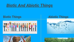 Biotic and Abiotic Things- Poster by KIZAPIX -1010 on Prezi Design