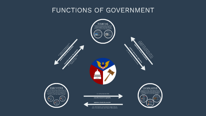 Structure and Function of Government by Anaisja Henry