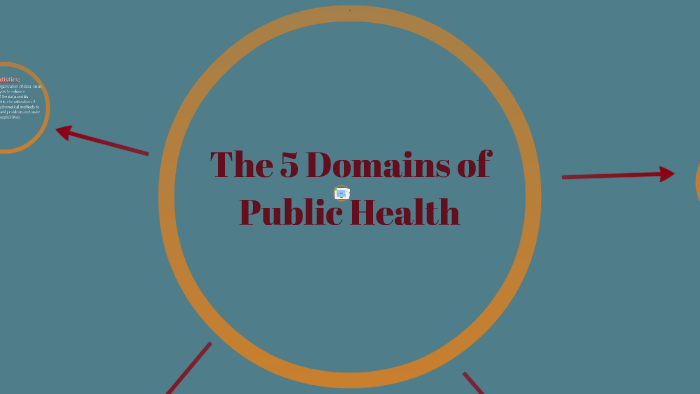 the-5-domains-of-public-health-by-kayla-miller