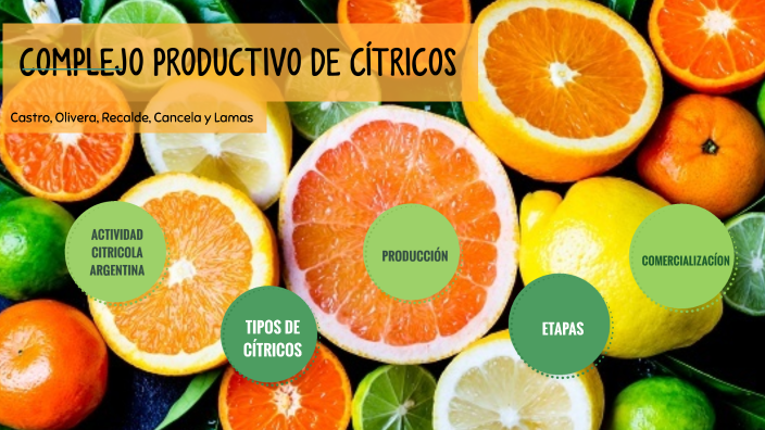 Cítricos en Argentina by Vero Castro on Prezi