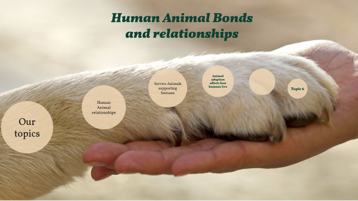 Human Animal Bonds And Relationships By Halle Chen On Prezi