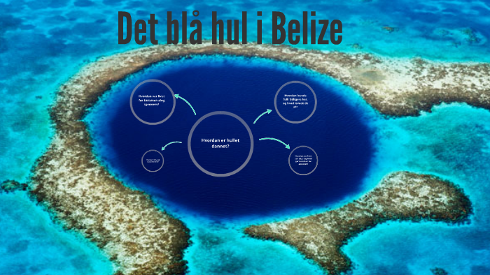 Det Store Blå Hul I Belize Wiki