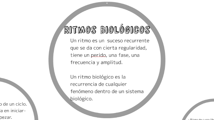 Ritmo biologico discount