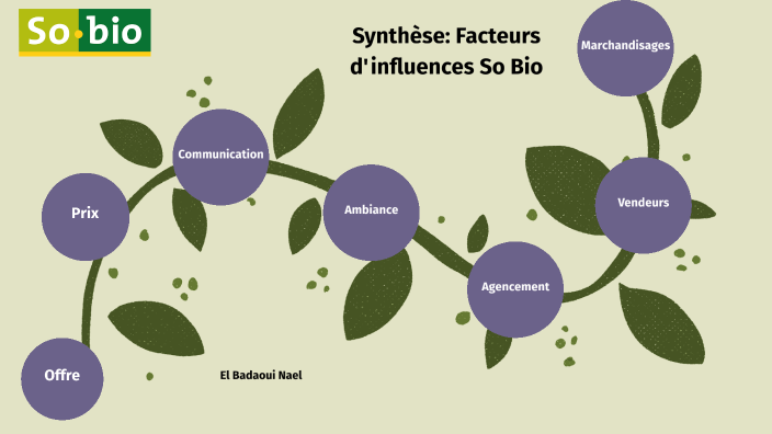 Facteurs d'ambiances by Nael El Badaoui on Prezi