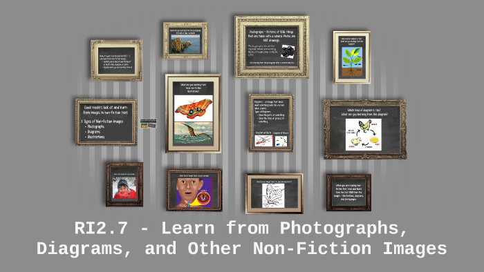 RI2.7 - Learn from Photographs, Diagrams, and Other Non-Fict by Christa ...