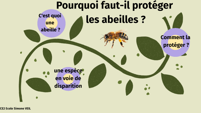 Pourquoi faut-il protéger les abeilles ? by Isabelle Michel on Prezi