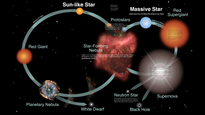 Life Cycle of High Mass Stars by Cameron Jurevicius
