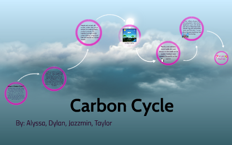 carbon cycle by Taylor Wright on Prezi