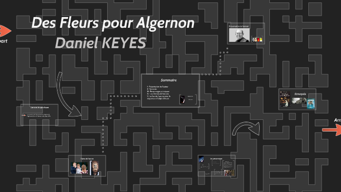 Des Fleurs Pour Algernon Résumé Par Chapitre