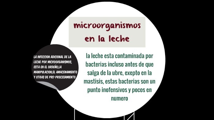 microorganismos en la leche