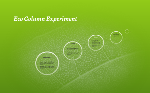 eco column experiment