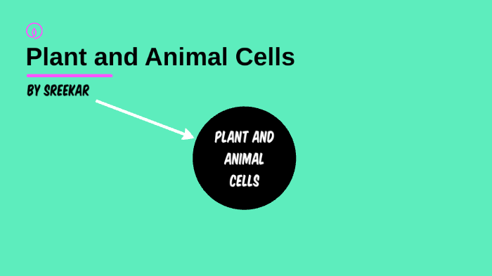 Plant and Animal Cells by Sreekar Vuyyuru on Prezi