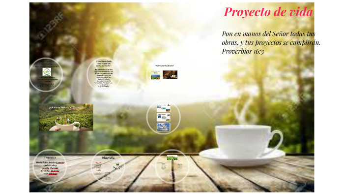 Proyecto de vida Kate by Alvin Antonio on Prezi