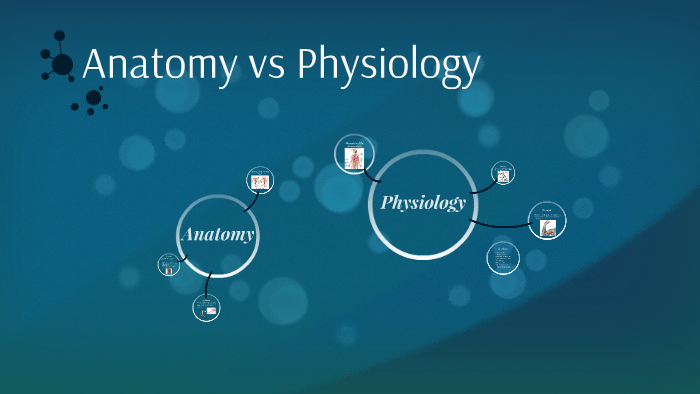 Anatomy vs Physiology by Meredith Pack on Prezi