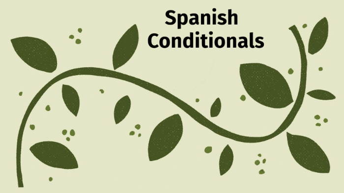 The Conditional Tense In Spanish By Jaime Viga
