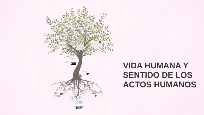 VIDA HUMANA Y SENTIDO DE LOS ACTOS HUMANOS by Paola Nallely Escobar