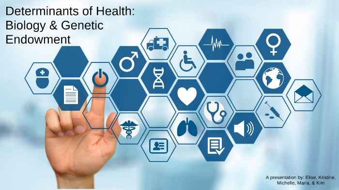 determinants-of-health-biology-genetic-endowment-by-kim-ho-on-prezi