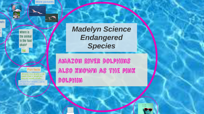 Madelyn Science Endangered Species by Laura Gray on Prezi