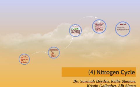 Nitrogen Cycle by Kellie Stanton on Prezi