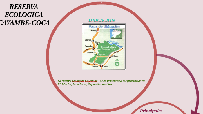 Reserva Ecologica Cayambe Coca By Mimi Caisaguano On Prezi