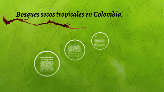 Bosques Secos Tropicales En Colombia By Isabel Cristina Perea Mena On Bosques Secos Tropicales En Colombia By Isabel Cristina Perea Mena On