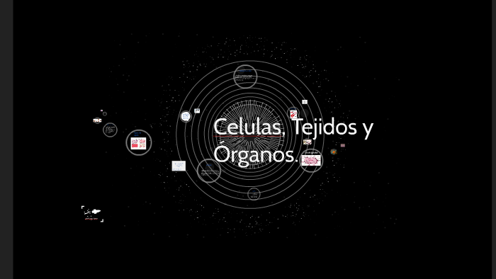 Celulas, Tejidos y Órganos... by Ana Karen Murillo Olmos on Prezi