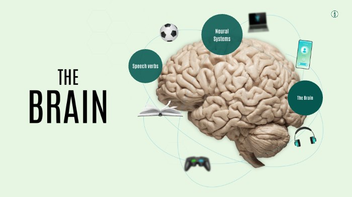 Speech verbs and the brain by Danh Nguyen on Prezi