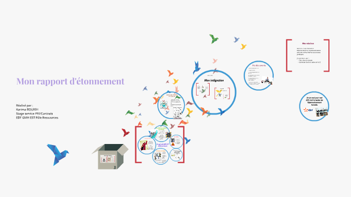 Mon Rapport D Etonnement By Nihad Oyong