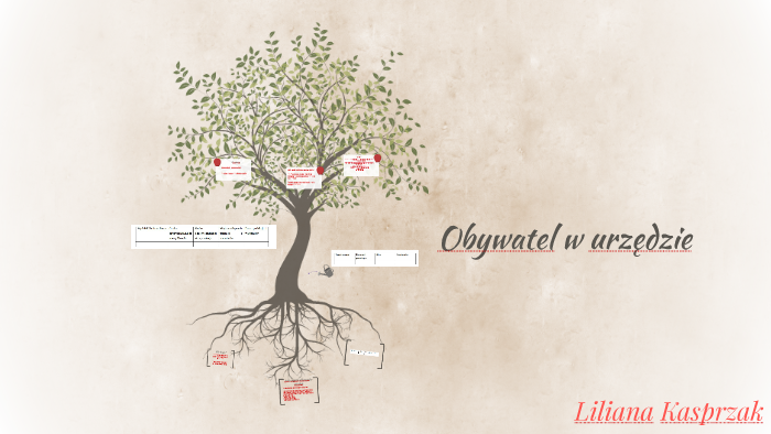 Obywatel w urzędzie by Liliana Kasprzak on Prezi