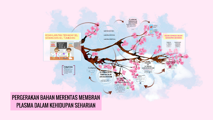 Kesan Larutan Terhadap Sel Tumbuhan Dan Sel Haiwa By Maria Fatini