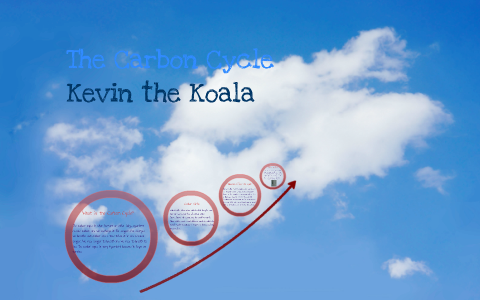 Kevin the Koala Carbon Cycle by Renea Jaeger on Prezi