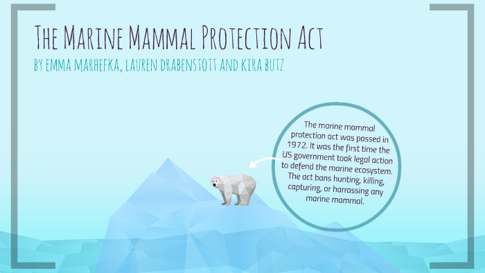 The Marine Mammal Protection Act By Kira Butz