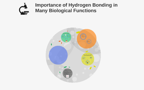 Importance of Hydrogen Bonding in Many Biological Functions by Jaster ...