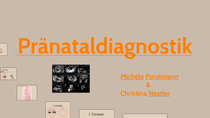 Pranataldiagnostik By Michele Porstmann On Prezi