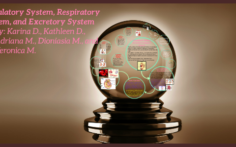 Biology PowerPoint by Adriana Macias on Prezi