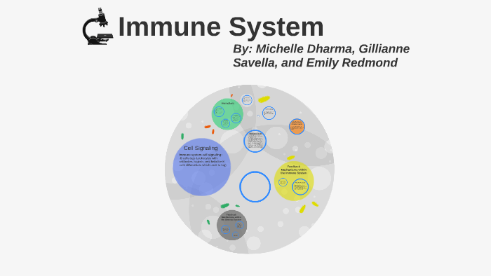 How the Immune System and Skeletal System Interact by Emily Redmond on ...