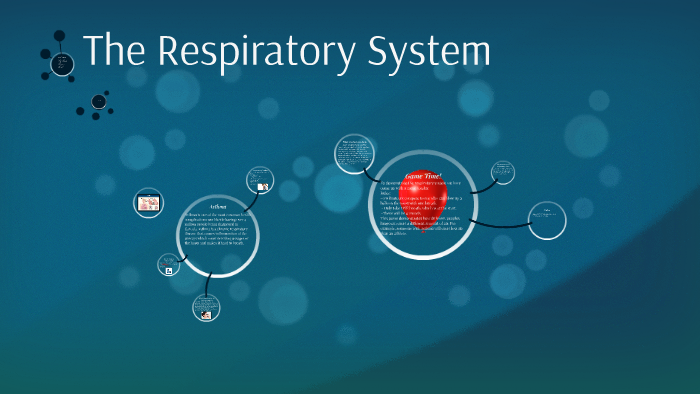 The Respiratory System by K H