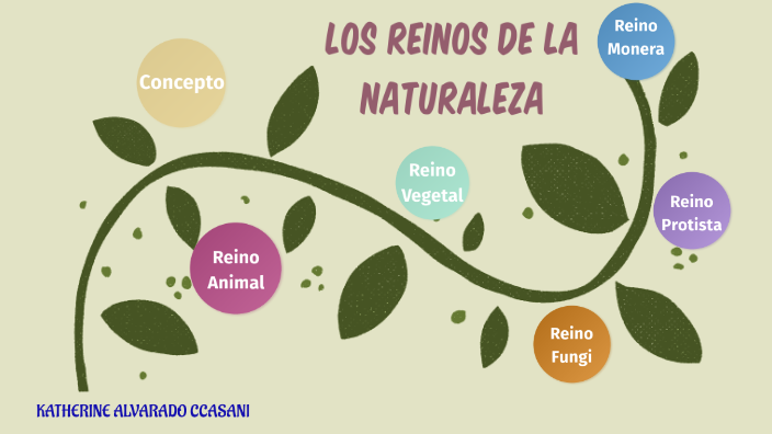 Los reinos de la naturaleza by Katherine Esperanza Alvarado Ccasani on ...