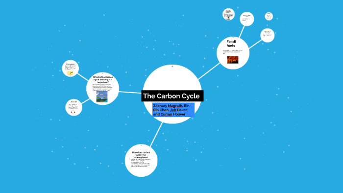 The Carbon Cycle by Zach Magrath on Prezi
