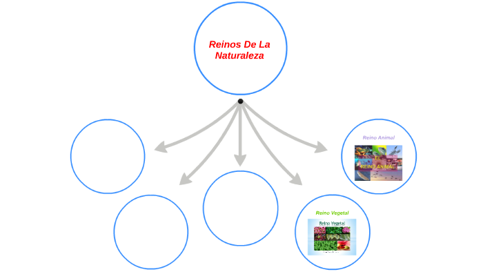 Reinos De La Naturaleza by Katherin Johanna Matabanchoy Paz on Prezi