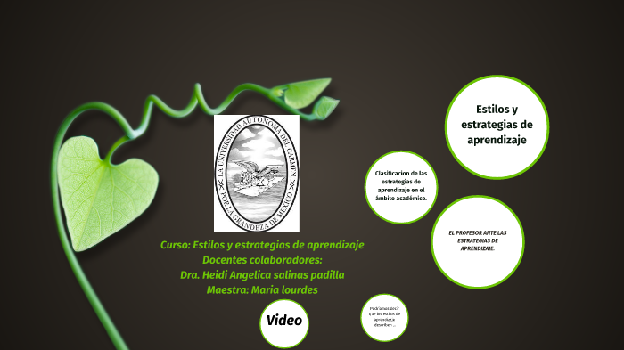Estilos de aprendizaje by angeles olan on Prezi